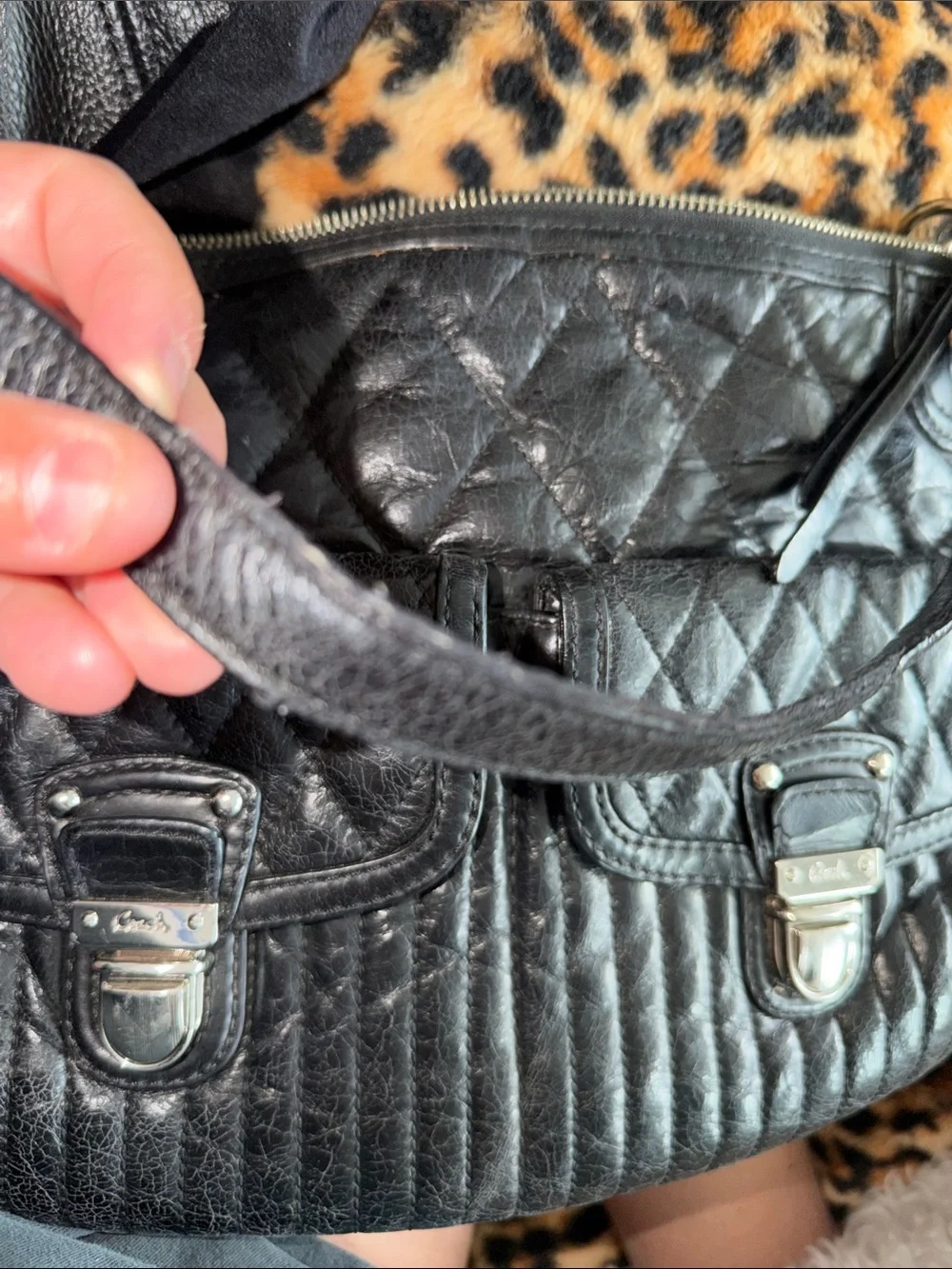 Coach shoulder bag